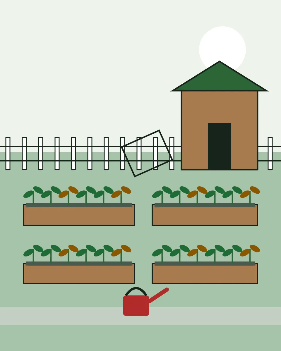Drawing of a community garden with raised wooden beds full of vegetables, a watering can, a tool shed and a fence with an open gate.