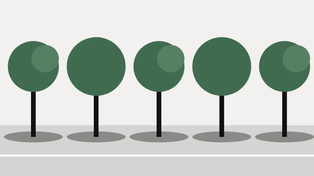 A row of round green trees along a pavement, each with a pool of shade
