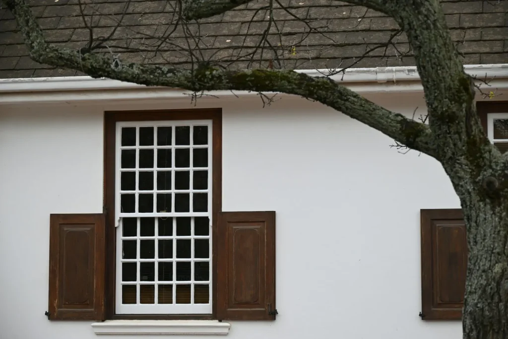 A tall white sash window with many small panes in a white rendered wall, framed by two dark wooden shutters, the branch of an old tree in front.