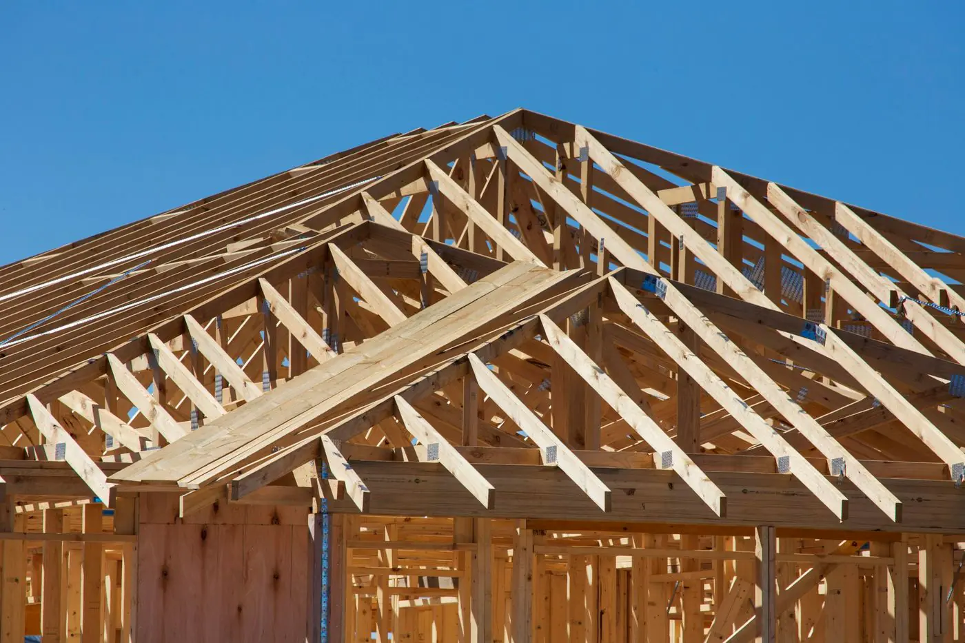 The new roof trusses of a house under construction, pale timber against a clear blue sky.